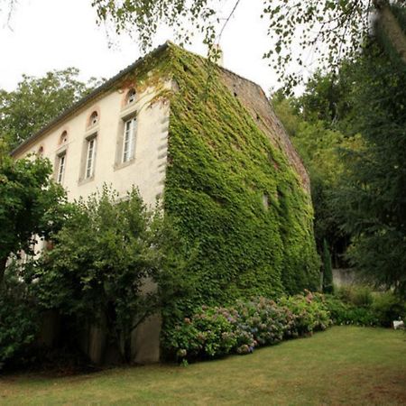 Bed and Breakfast L'Affable Les Cammazes Zewnętrze zdjęcie