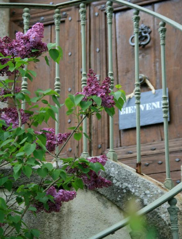 Bed and Breakfast L'Affable Les Cammazes Zewnętrze zdjęcie